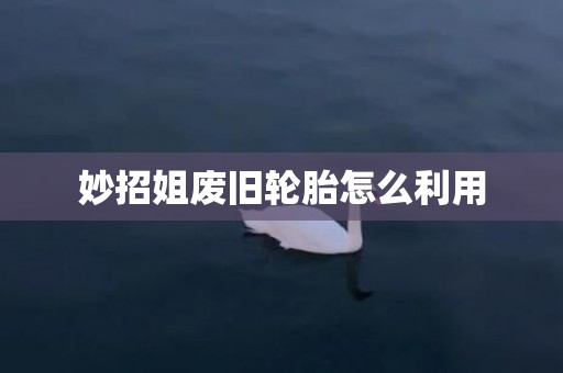妙招姐废旧轮胎怎么利用