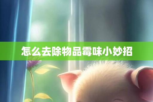 怎么去除物品霉味小妙招