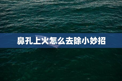 鼻孔上火怎么去除小妙招
