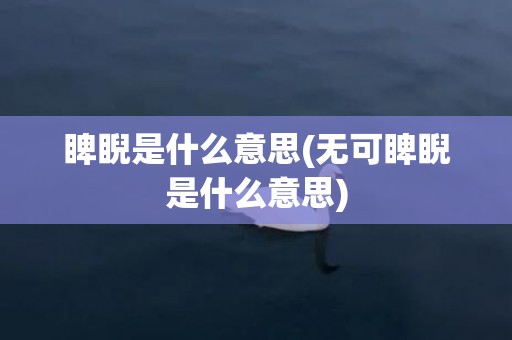 睥睨是什么意思(无可睥睨是什么意思)