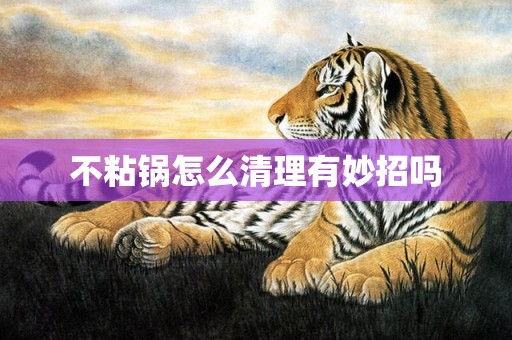 不粘锅怎么清理有妙招吗