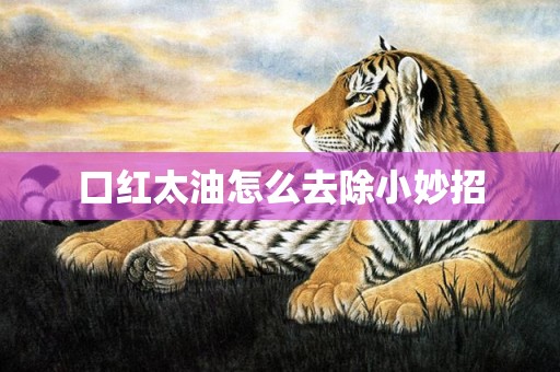 口红太油怎么去除小妙招