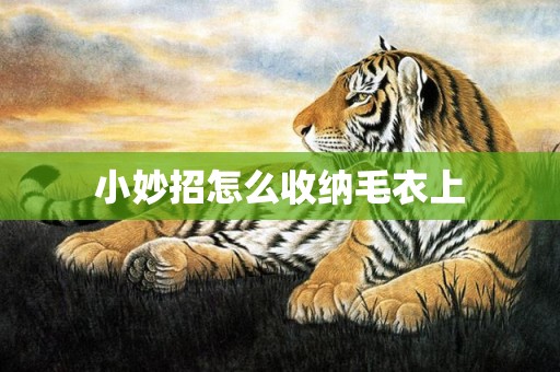 小妙招怎么收纳毛衣上