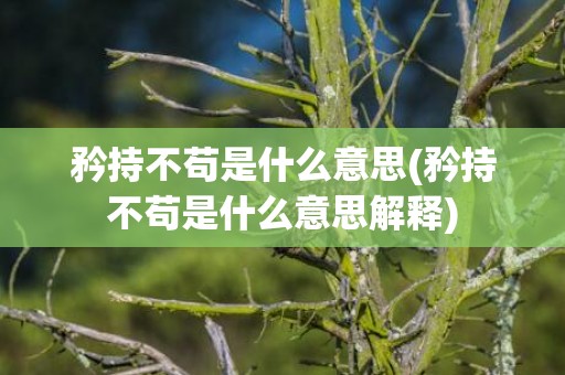 矜持不苟是什么意思(矜持不苟是什么意思解释)