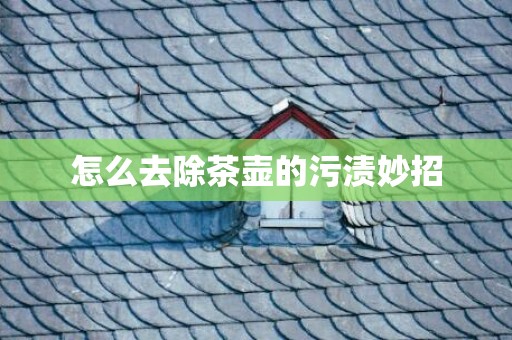 怎么去除茶壶的污渍妙招