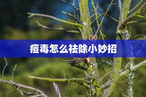 痘毒怎么祛除小妙招