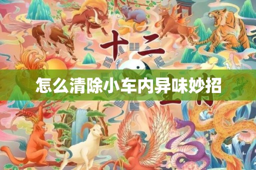 怎么清除小车内异味妙招