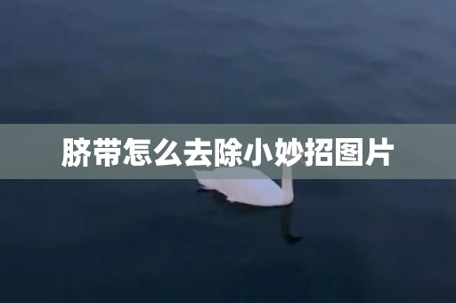 脐带怎么去除小妙招图片