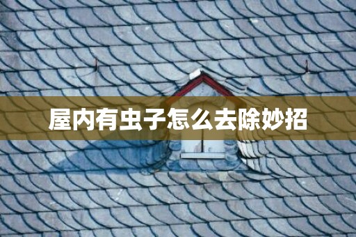 屋内有虫子怎么去除妙招