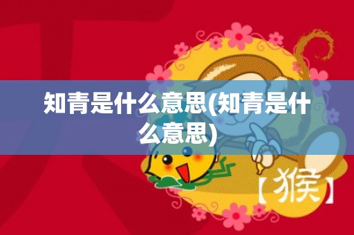 知青是什么意思(知青是什么意思)