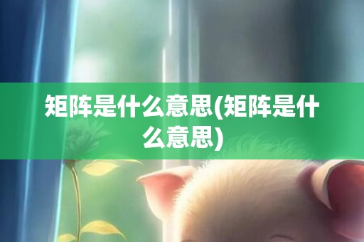 矩阵是什么意思(矩阵是什么意思)