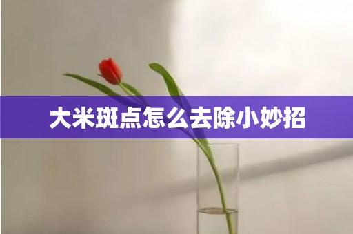 大米斑点怎么去除小妙招