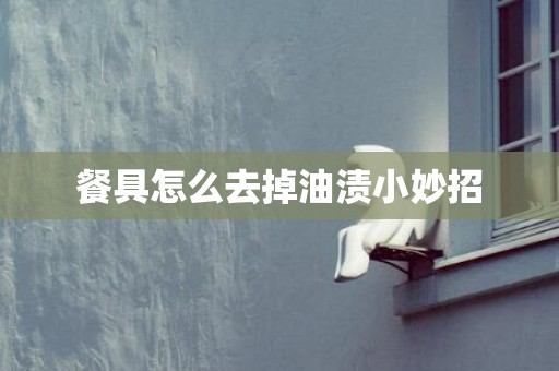 餐具怎么去掉油渍小妙招