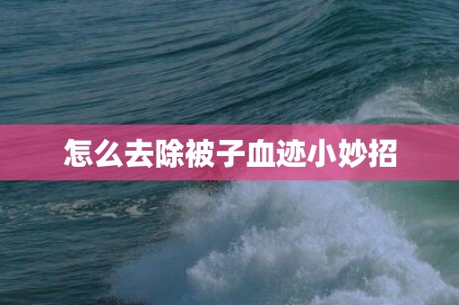 怎么去除被子血迹小妙招