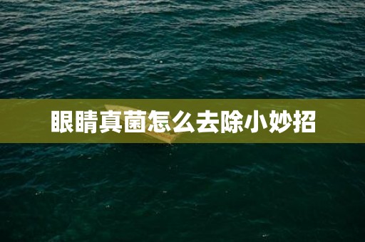 眼睛真菌怎么去除小妙招