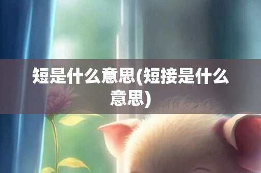短是什么意思(短接是什么意思)