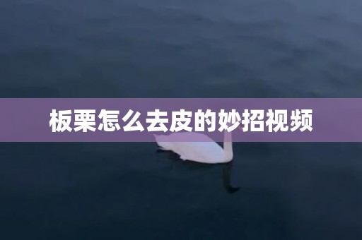板栗怎么去皮的妙招视频