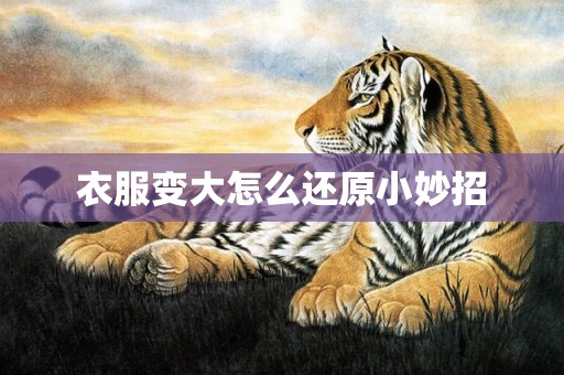 衣服变大怎么还原小妙招