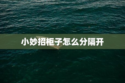 小妙招柜子怎么分隔开