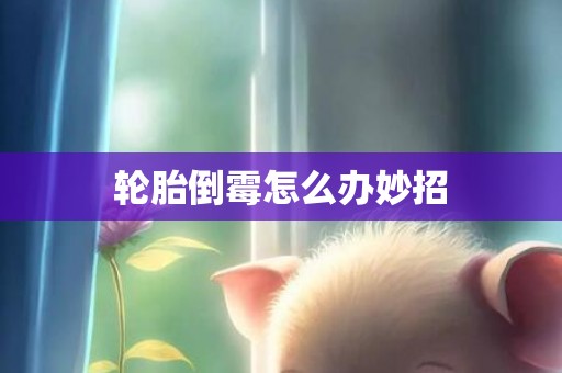 轮胎倒霉怎么办妙招