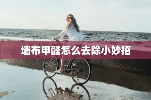 墙布甲醛怎么去除小妙招