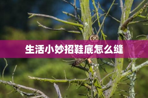 生活小妙招鞋底怎么缝