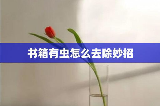 书箱有虫怎么去除妙招