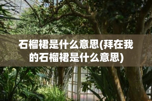 石榴裙是什么意思(拜在我的石榴裙是什么意思)
