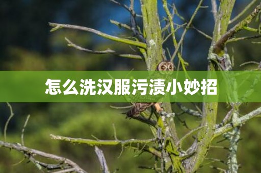 怎么洗汉服污渍小妙招
