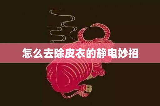 怎么去除皮衣的静电妙招