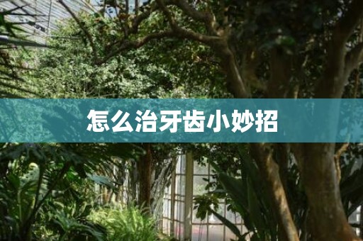 怎么治牙齿小妙招