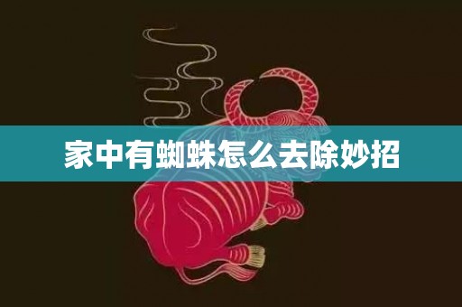 家中有蜘蛛怎么去除妙招
