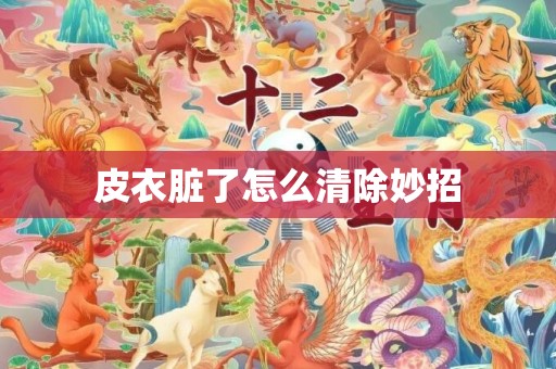 皮衣脏了怎么清除妙招