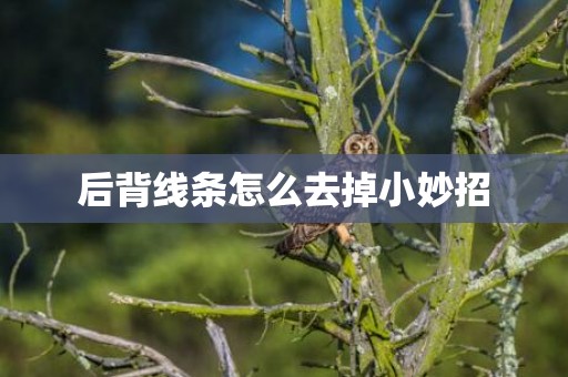后背线条怎么去掉小妙招