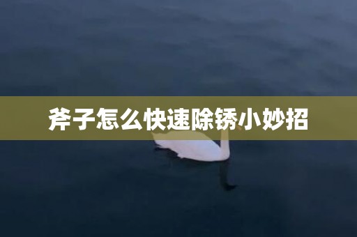 斧子怎么快速除锈小妙招