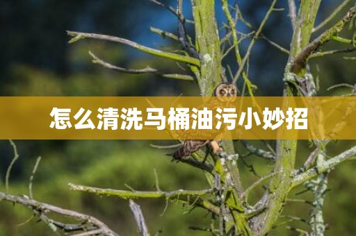 怎么清洗马桶油污小妙招