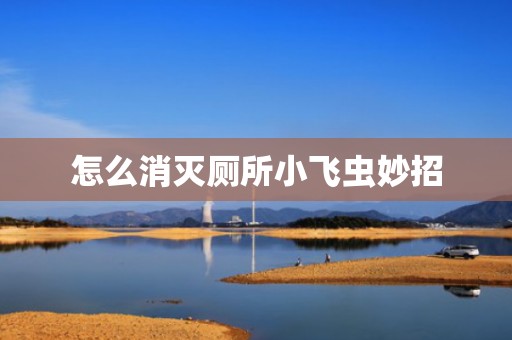怎么消灭厕所小飞虫妙招