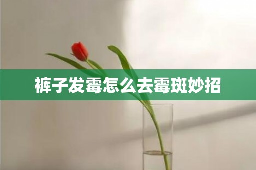 裤子发霉怎么去霉斑妙招