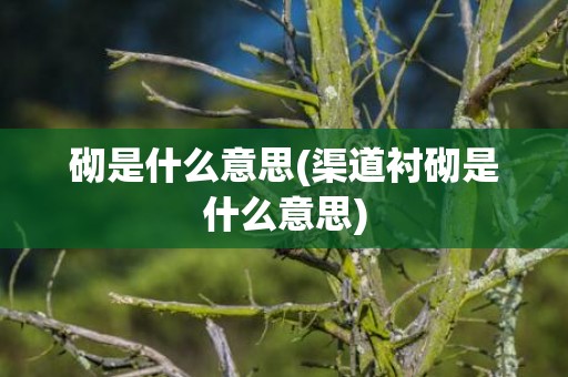 砌是什么意思(渠道衬砌是什么意思)