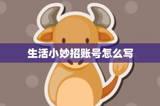 生活小妙招账号怎么写