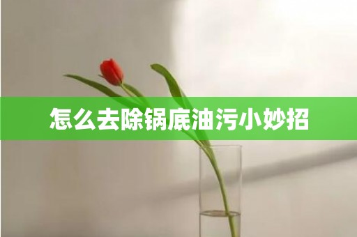 怎么去除锅底油污小妙招