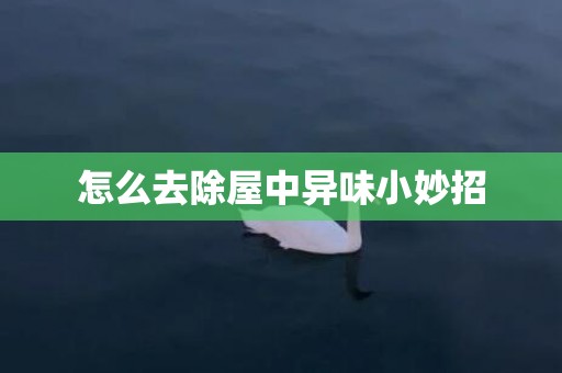 怎么去除屋中异味小妙招