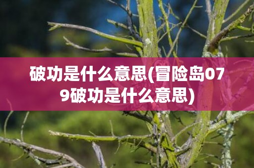 破功是什么意思(冒险岛079破功是什么意思)