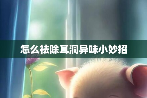 怎么祛除耳洞异味小妙招