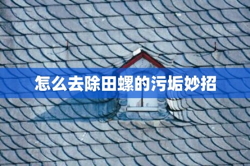 怎么去除田螺的污垢妙招