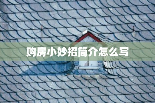 购房小妙招简介怎么写