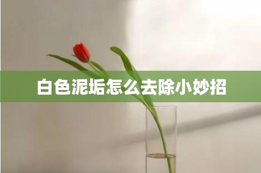 白色泥垢怎么去除小妙招