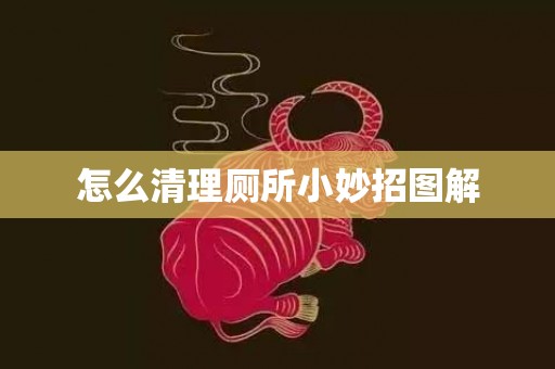 怎么清理厕所小妙招图解