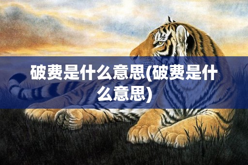 破费是什么意思(破费是什么意思)