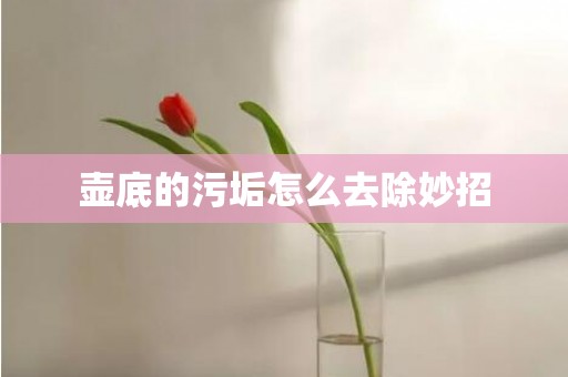 壶底的污垢怎么去除妙招